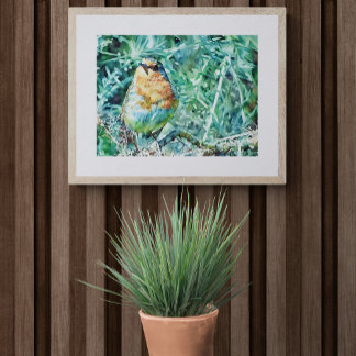 Trillende waterverf Robin op doornen Foto Afdruk