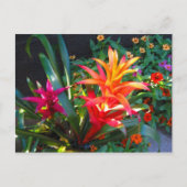 Trilling Briefkaart (Voorkant)