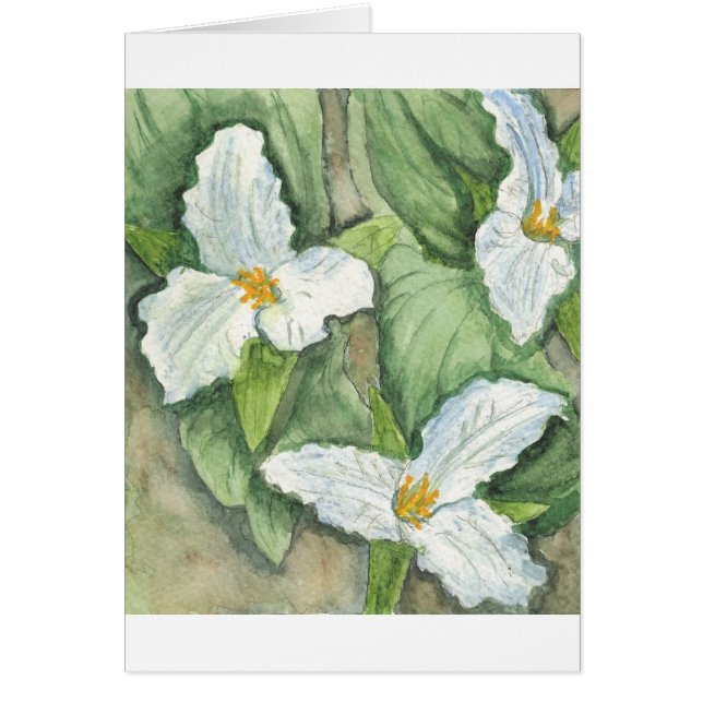 Trillium (Voorkant)