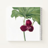 Trillium Botanical Notitieboek (Achterkant)
