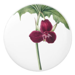 Trillium Botanisch Keramische Knop