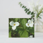 Trillium Briefkaart (Staand voorkant)