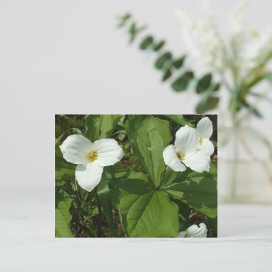 Trillium Briefkaart (Staand voorkant)