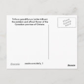 Trillium Briefkaart (Achterkant)