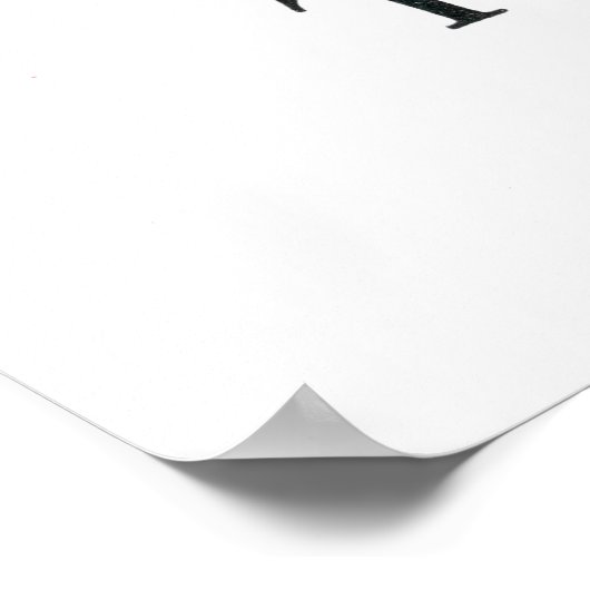 Trillium en Tiger-Lily Poster (Hoek)