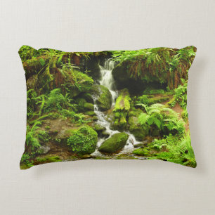 Trillium Falls in Redwood National Park Accent Kussen