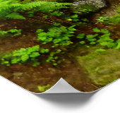 Trillium Falls in Redwood National Park Poster (Hoek)