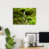Trillium Falls in Redwood National Park Poster (Thuiskantoor)