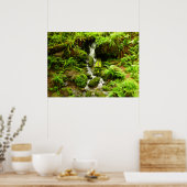 Trillium Falls in Redwood National Park Poster (Keuken)