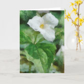 Trillium Flower Wenskaart artwork Kaart (Gele Bloem)