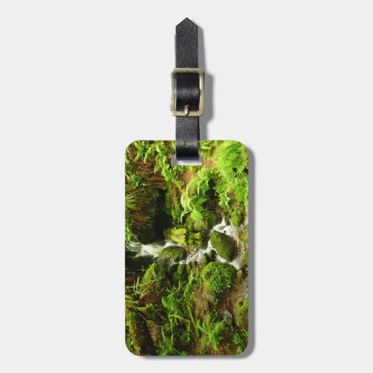 Trillium-Herfsten in het nationaal park Redwood Bagagelabel (Voorkant verticaal)