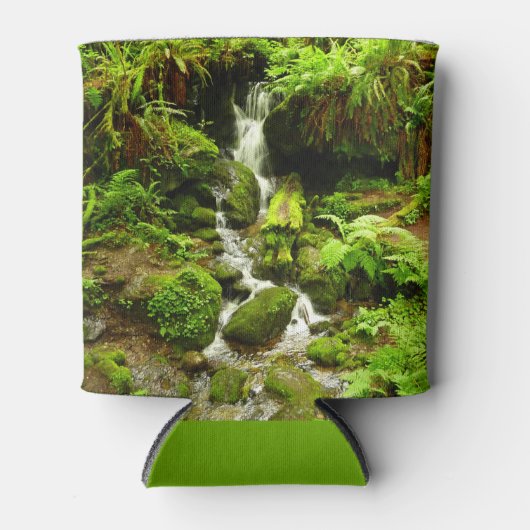 Trillium-Herfsten in het nationaal park Redwood Blikjeskoeler (Voorkant)