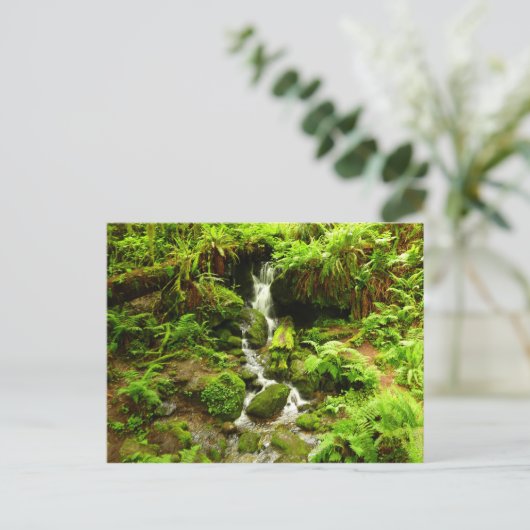 Trillium-Herfsten in het nationaal park Redwood Briefkaart (Staand voorkant)