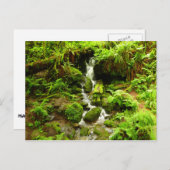 Trillium-Herfsten in het nationaal park Redwood Briefkaart (Voorkant / Achterkant)