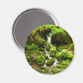 Trillium-Herfsten in het nationaal park Redwood Magneet (Voorkant / Achterkant)