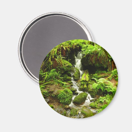 Trillium-Herfsten in het nationaal park Redwood Magneet (Voorkant / Achterkant)