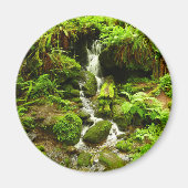 Trillium-Herfsten in het nationaal park Redwood Magneet (Voorkant)