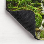 Trillium-Herfsten in het nationaal park Redwood Muismat (Hoek)