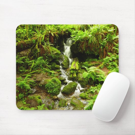 Trillium-Herfsten in het nationaal park Redwood Muismat (Met muis)