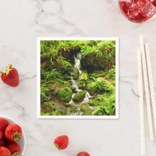 Trillium-Herfsten in het nationaal park Redwood Servet (Insitu)