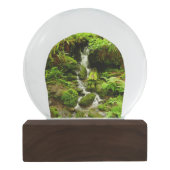 Trillium-Herfsten in het nationaal park Redwood Sneeuwbol (Achterkant)