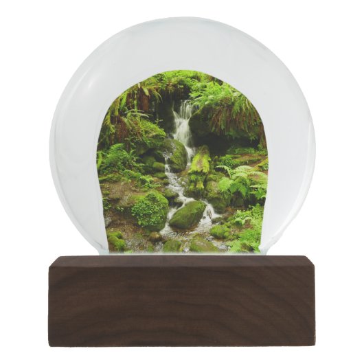 Trillium-Herfsten in het nationaal park Redwood Sneeuwbol (Voorkant)