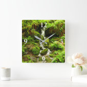 Trillium-Herfsten in het nationaal park Redwood Vierkante Klok (Huis)