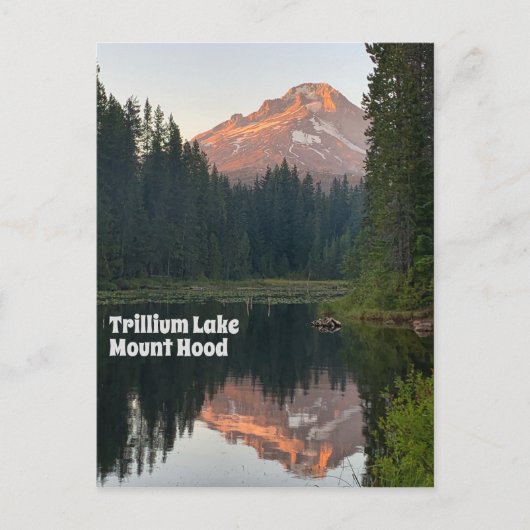 Trillium Lake Mount Hood Sunset Reflection Travel Briefkaart (Voorkant)