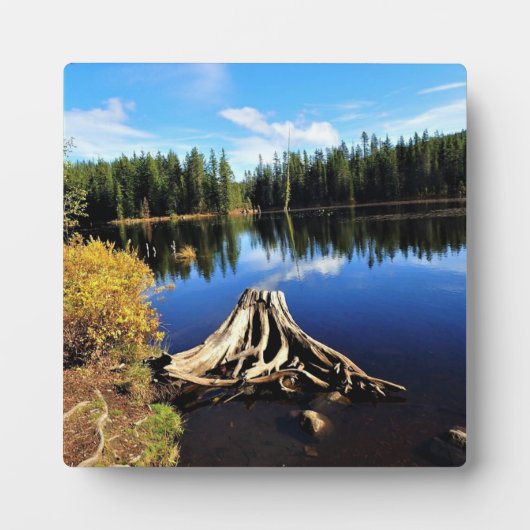 Trillium Lake, OR Fotoplaat (Voorkant)