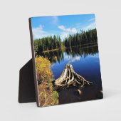 Trillium Lake, OR Fotoplaat (Voorkant)