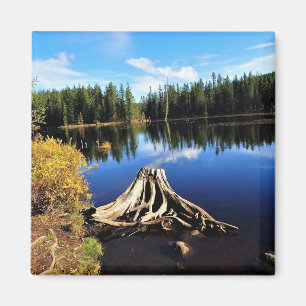 Trillium Lake, OR Magneet