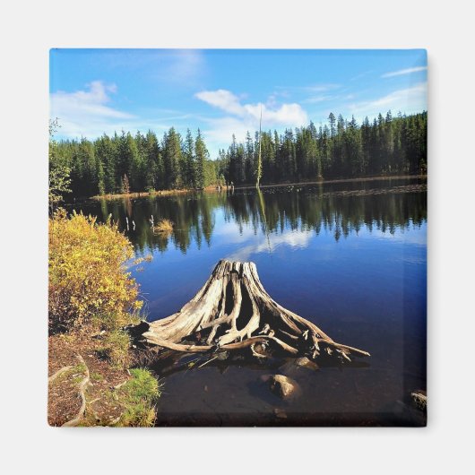 Trillium Lake, OR Magneet (Voorkant)