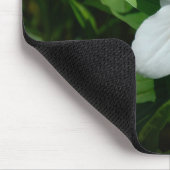 Trillium Muismat (Hoek)