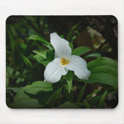 Trillium Muismat (Voorkant)
