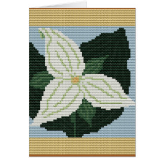 TRILLIUM VAN ONTARIO