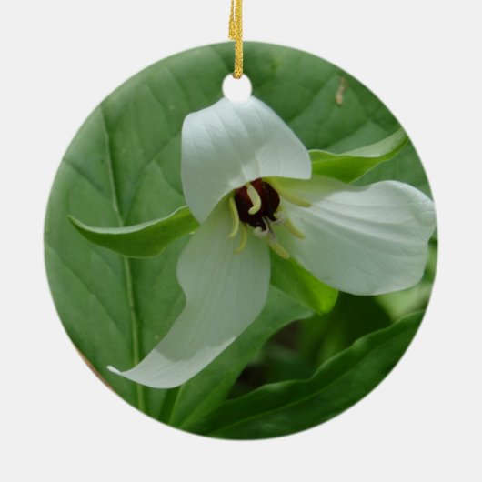 Trillium White Keramisch Ornament (Achterkant)