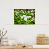Trillium Wild Flower Poster (Keuken)