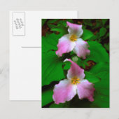 Trillium-wildbloem Briefkaart (Voorkant / Achterkant)