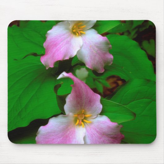 Trillium-wildbloem Muismat (Voorkant)