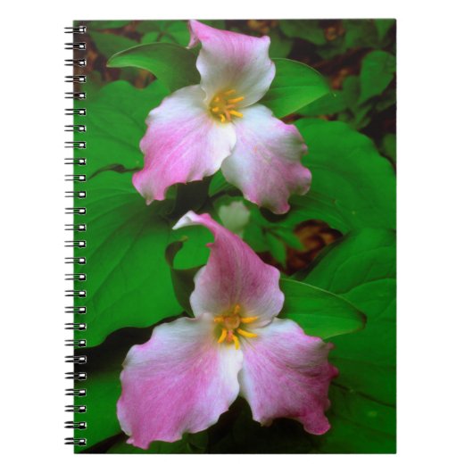 Trillium-wildbloem Notitieboek (Voorkant)