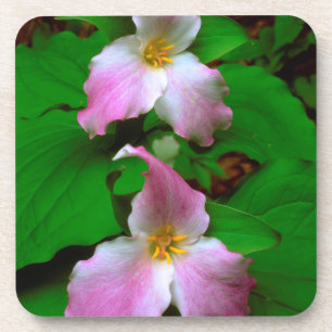Trillium-wildbloem Onderzetter