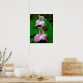 Trillium-wildbloem Poster (Keuken)