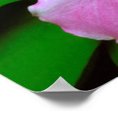 Trillium-wildbloem Poster (Hoek)