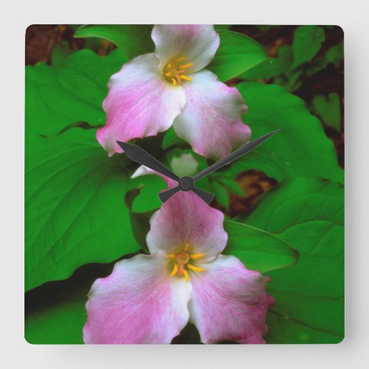 Trillium-wildbloem Vierkante Klok (Voorkant)