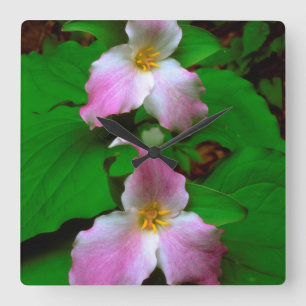 Trillium-wildbloem Vierkante Klok