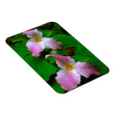 Trillium Wildflower Magneet (Rechterzijde)