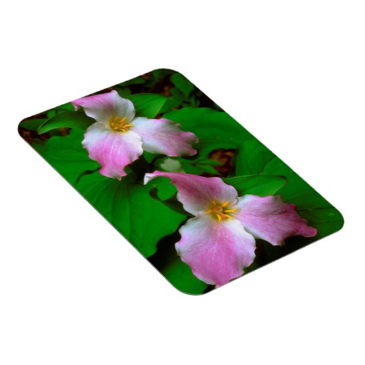 Trillium Wildflower Magneet (Rechterzijde)