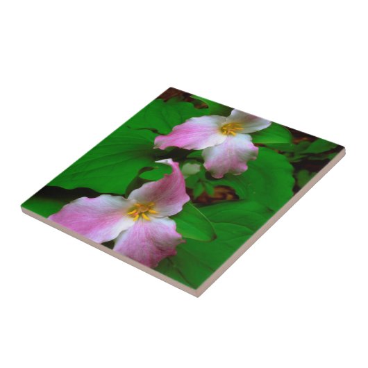 Trillium Wildflower Tegeltje (Zijkant)