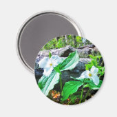 TRILLIUMS MAGNEET (Voorkant / Achterkant)