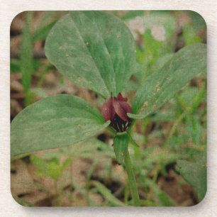 Trilliumventiel Bier Onderzetter